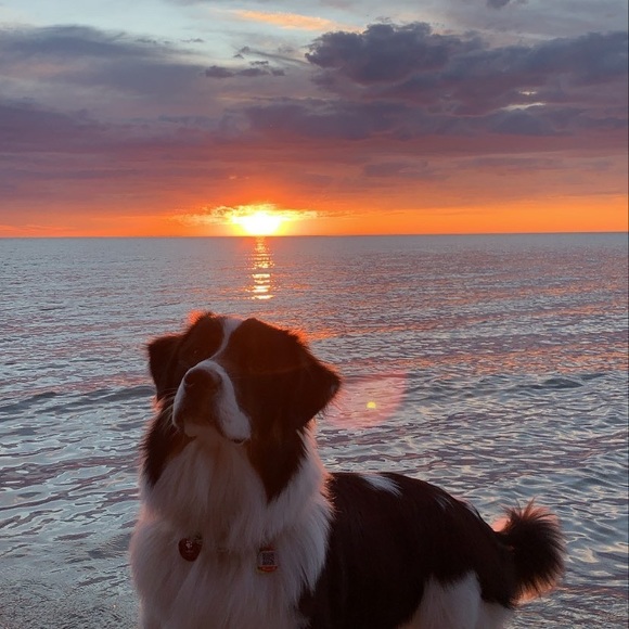 Meet your Posher, Leah - Picture 5 of 5